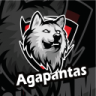 Agapantas